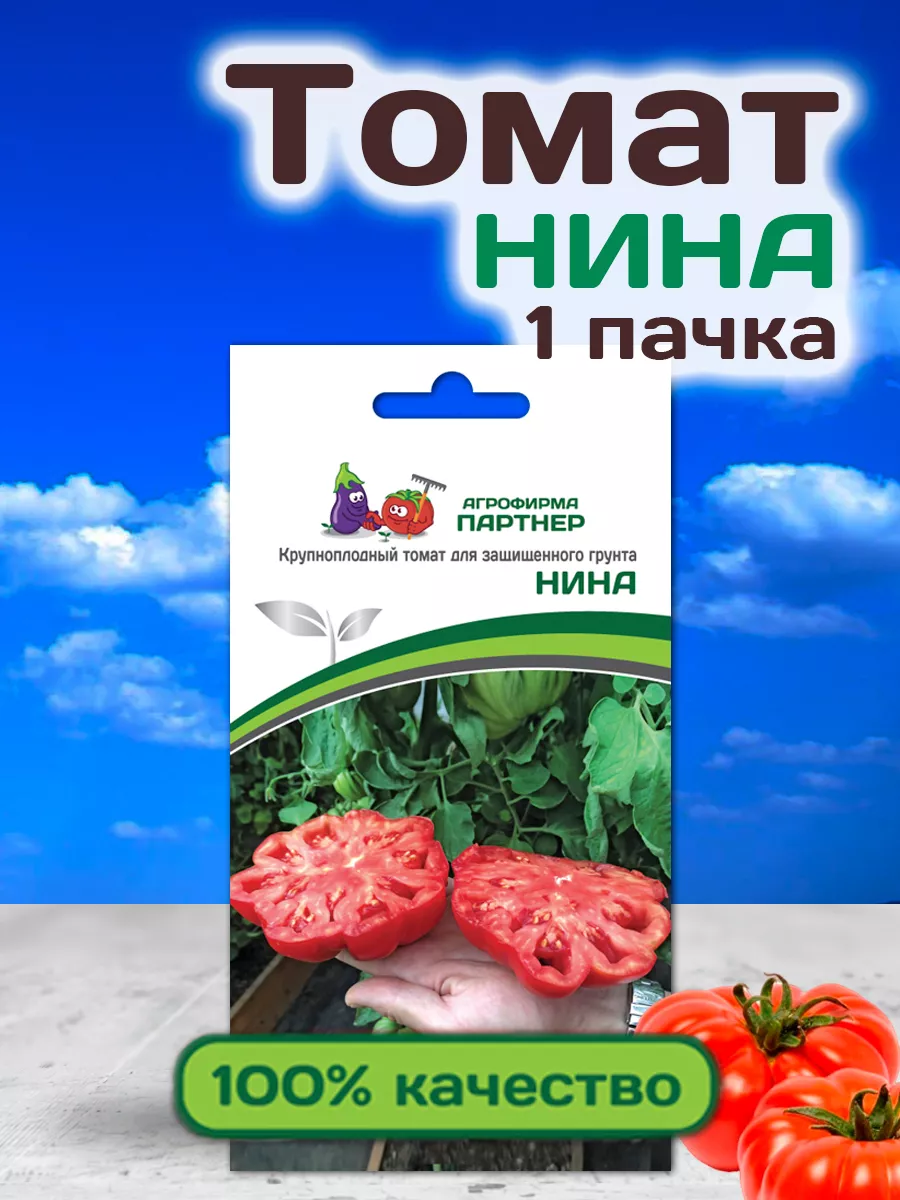 Томаты Сорт Нина Отзывы Фото