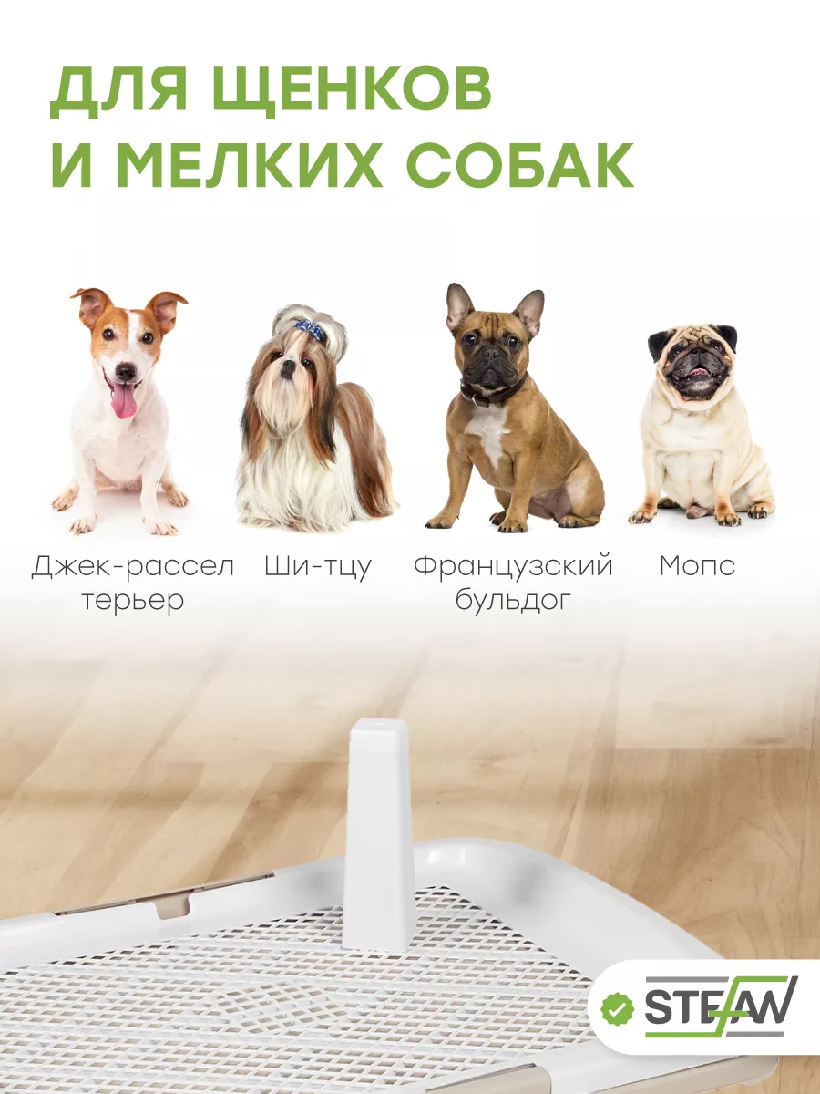 Обзор домашних туалетов для собак